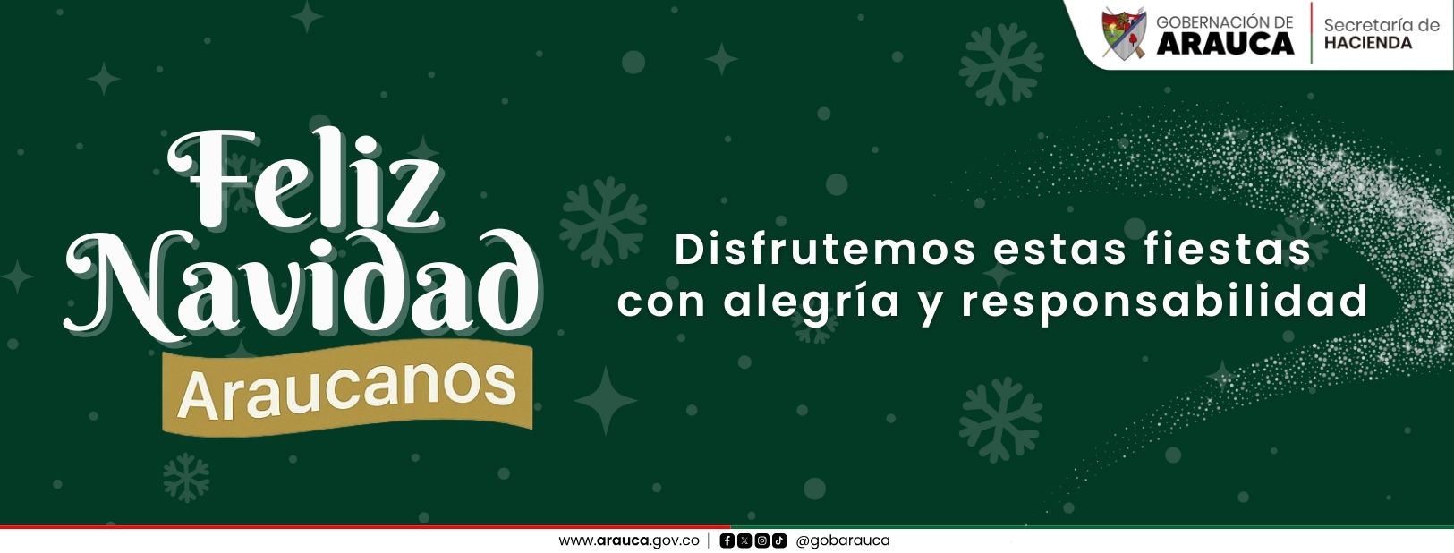 Disfrutemos de la navidad SHD