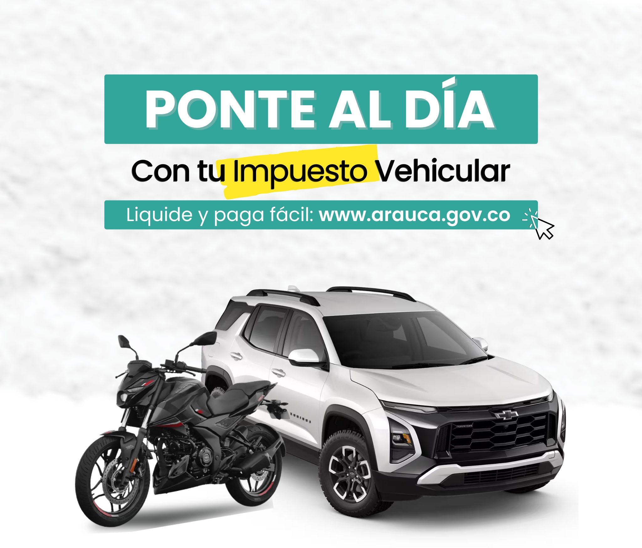 Mayor Información: Solo WhatsApp 313 358 49 41