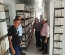 Gestión documental (7)